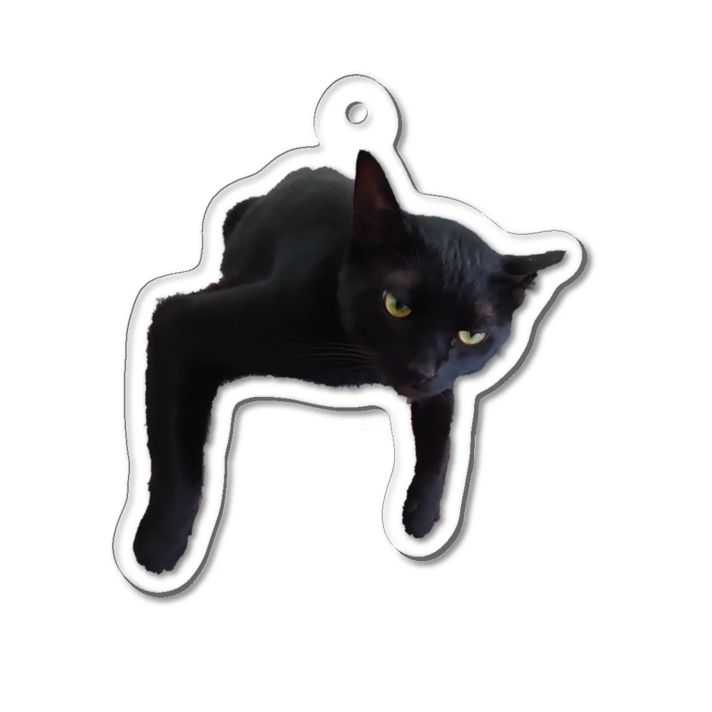 黒猫と三毛と茶トランズのジジくんのだら〜ん(ΦωΦ) Acrylic Key Chain