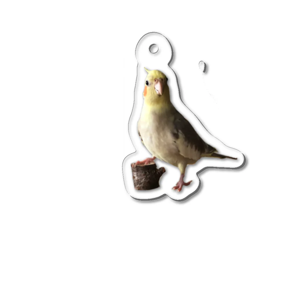 じゅぎのインコショップ Jugi's bird goodsのイケメンなオカメ女子 Acrylic Key Chain