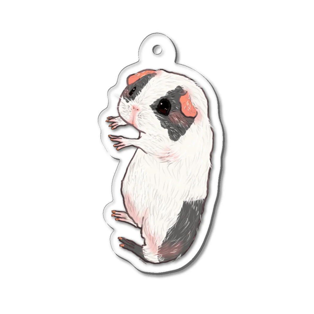 CHIMOCHIのGuinea pig hug Acrylic Key Chain