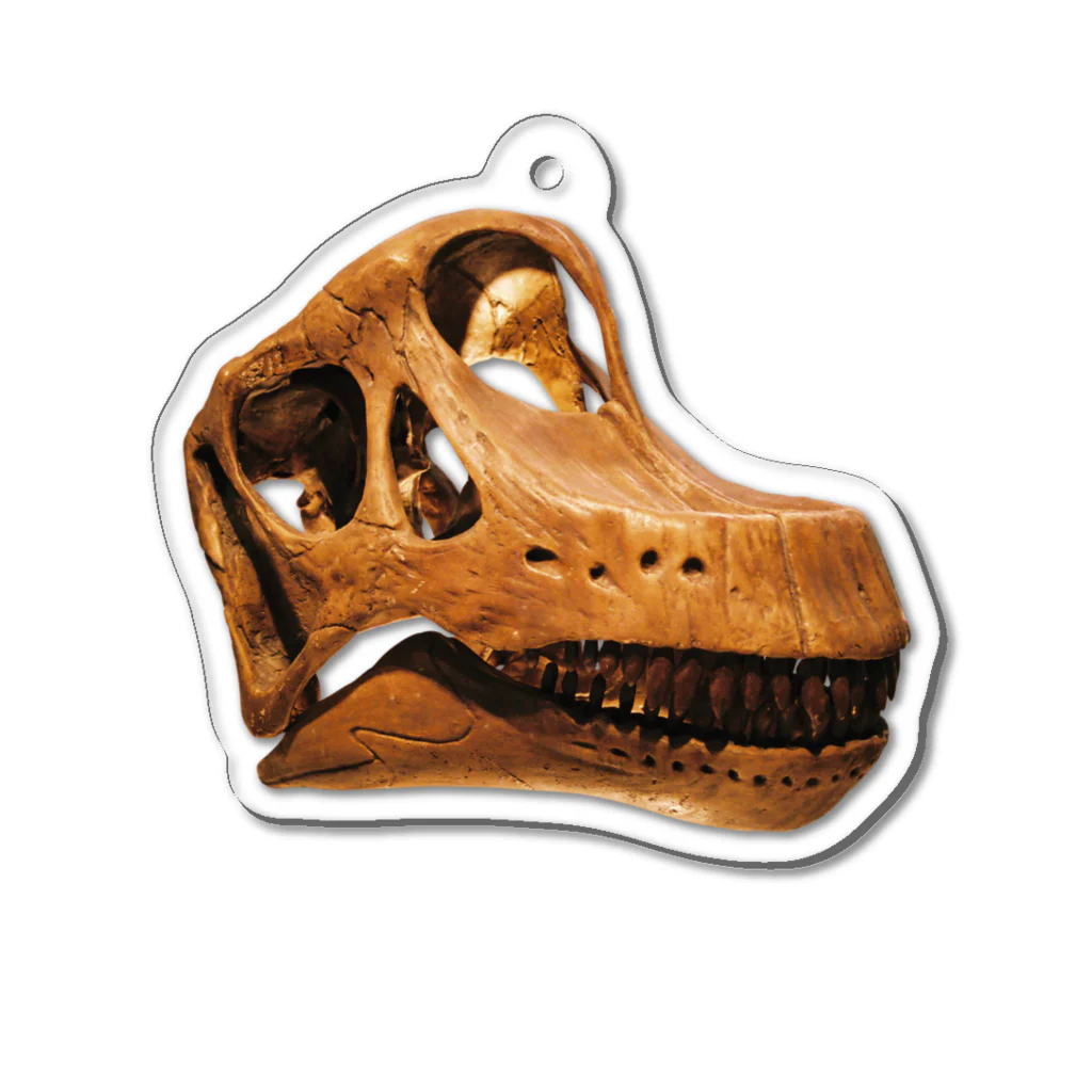 Rubbishのブラキオサウルス 頭骨 Acrylic Key Chain
