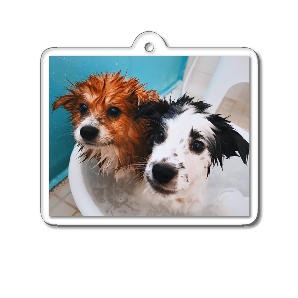 Two Dogs RecordsのTwo Dogs -Bathing- Acrylic Key Chain