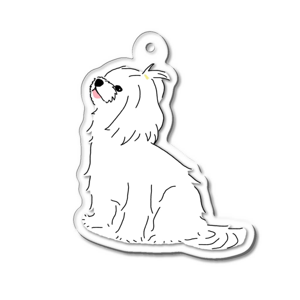 merciro maltese dogのおすわりマルチーズ犬 Acrylic Key Chain