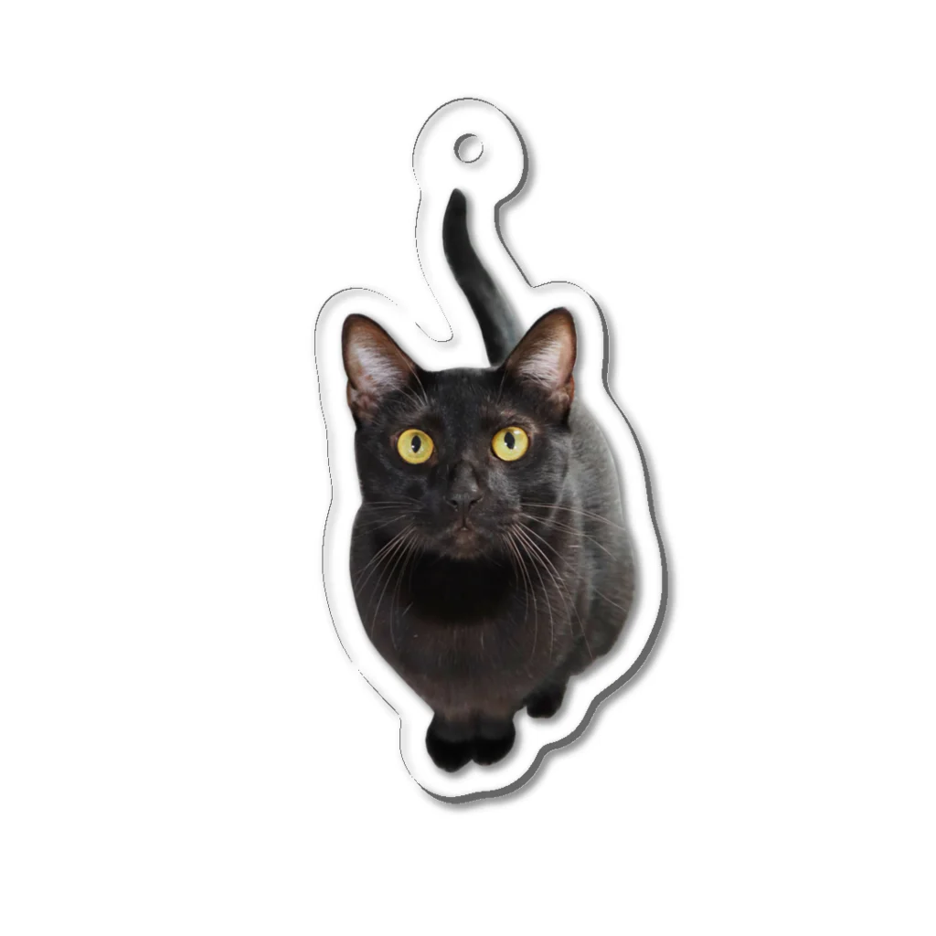 あこねこのお店のクロネコさん Acrylic Key Chain