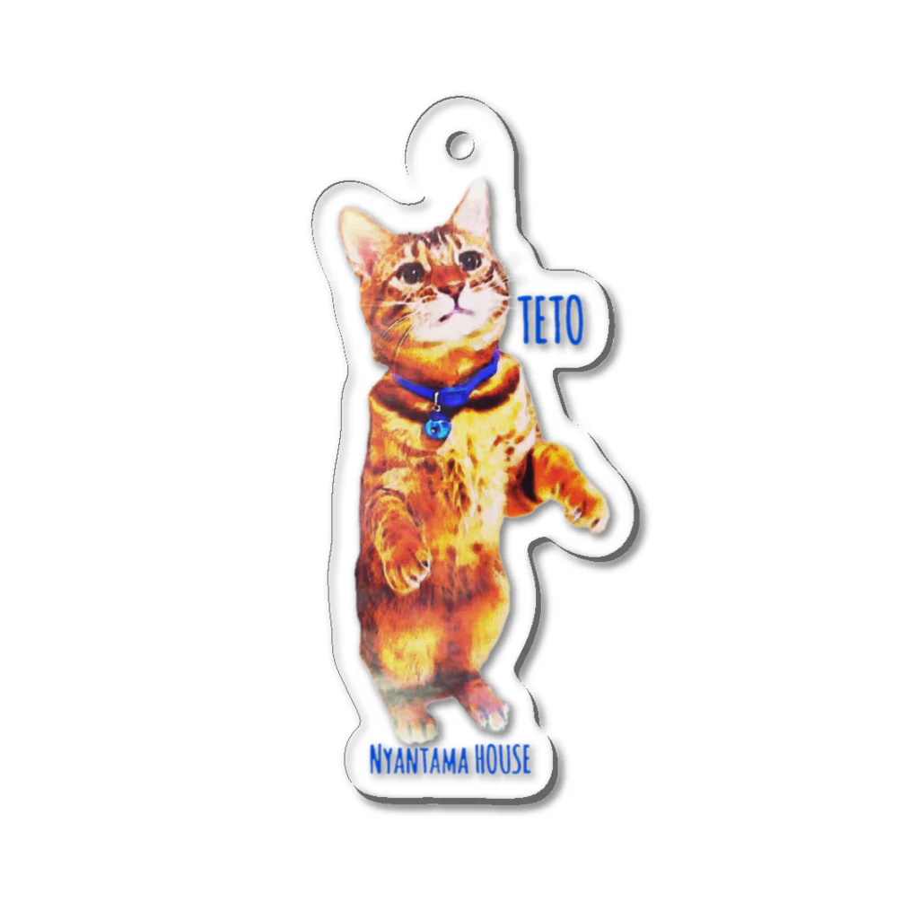 にゃんたまHOUSEのテトシルエット Acrylic Key Chain