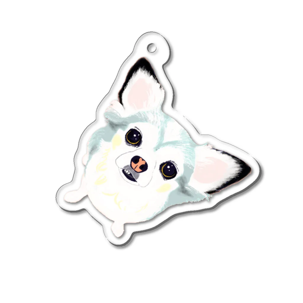 遥ん/犬顔絵　のぶらりんビビィちゃんアクキー Acrylic Key Chain