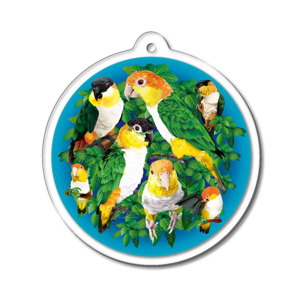 piyopiyobrandのシロハラインコたち Acrylic Key Chain