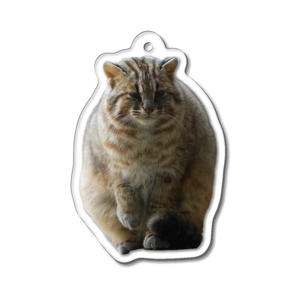 やまねこショップSUZURI支店のぶくまくん Acrylic Key Chain