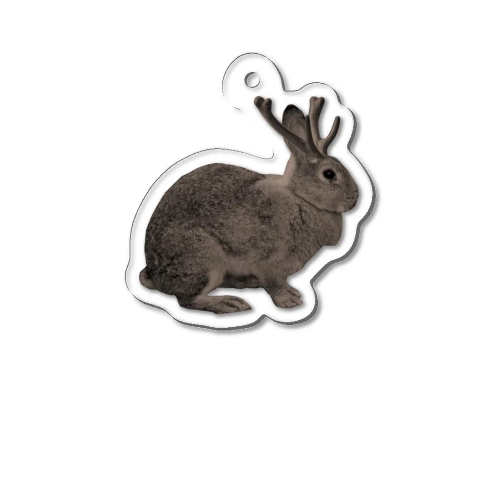 Jackalope Houseの未確認動物 アクリルキーホルダー