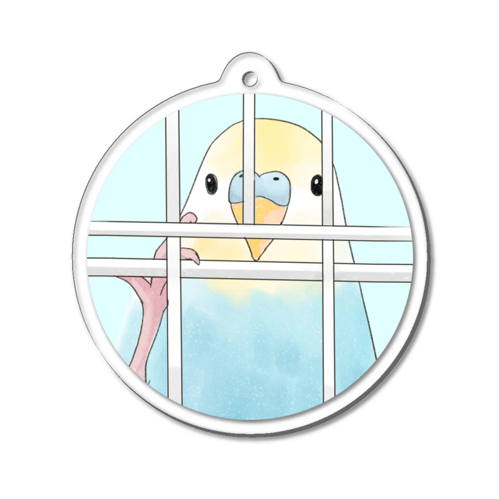 まめるりはことりの可愛いのぞき見セキセイインコちゃん【まめるりはことり】 Acrylic Key Chain