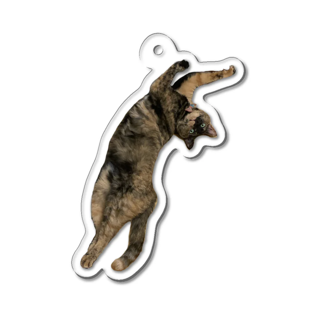 ｻﾕﾉﾐのさびねこもずくちゃん Acrylic Key Chain