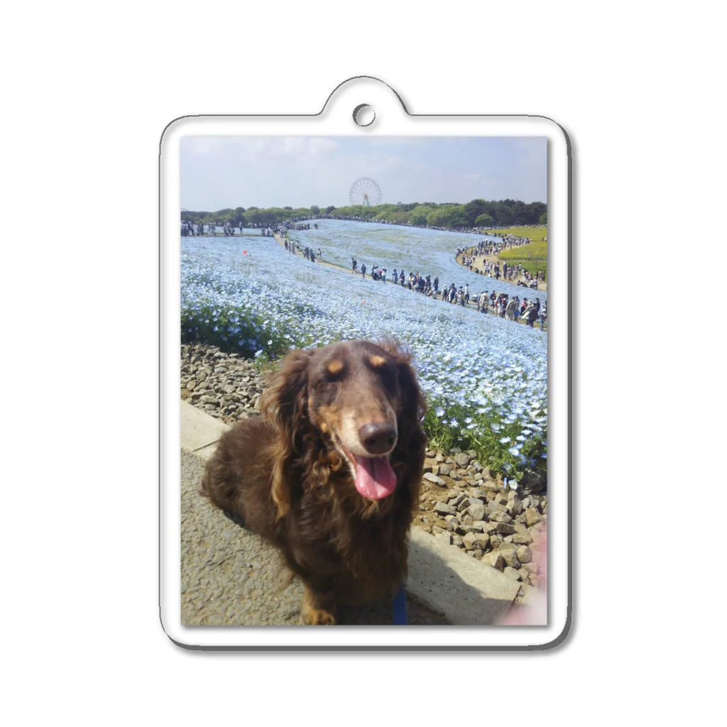 U-CHANGの笑顔犬 Acrylic Key Chain