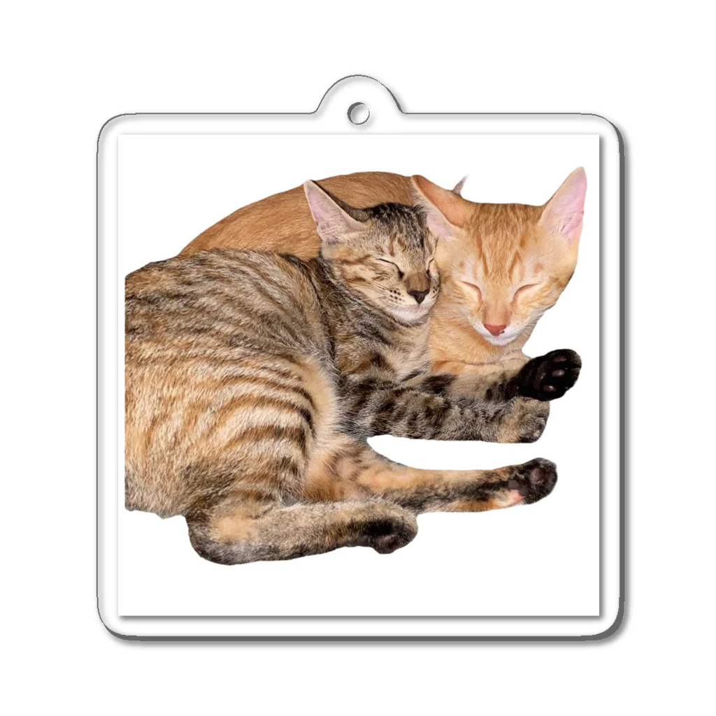 ChoboTora24の眠り猫ちゃん達 Acrylic Key Chain