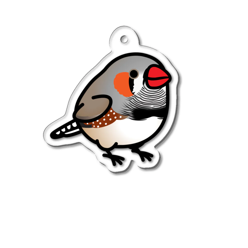 Cody the LovebirdのChubby Bird キンカチョウ Acrylic Key Chain