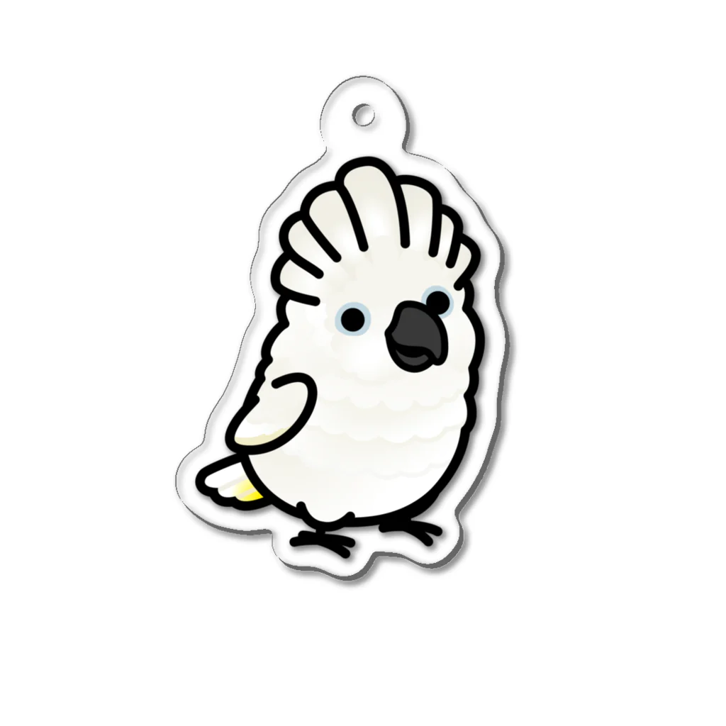 Cody the LovebirdのChubby Bird タイハクオウム アクリルキーホルダー