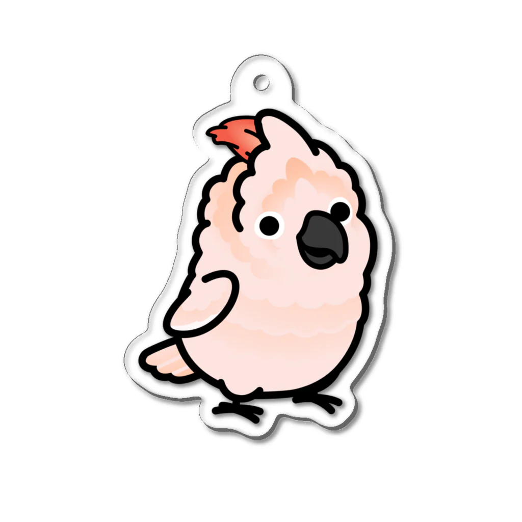 Cody the LovebirdのChubby Bird オオバタン アクリルキーホルダー