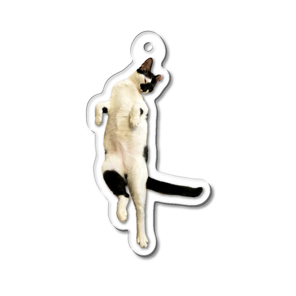 猫とムシの酔拳クロム Acrylic Key Chain