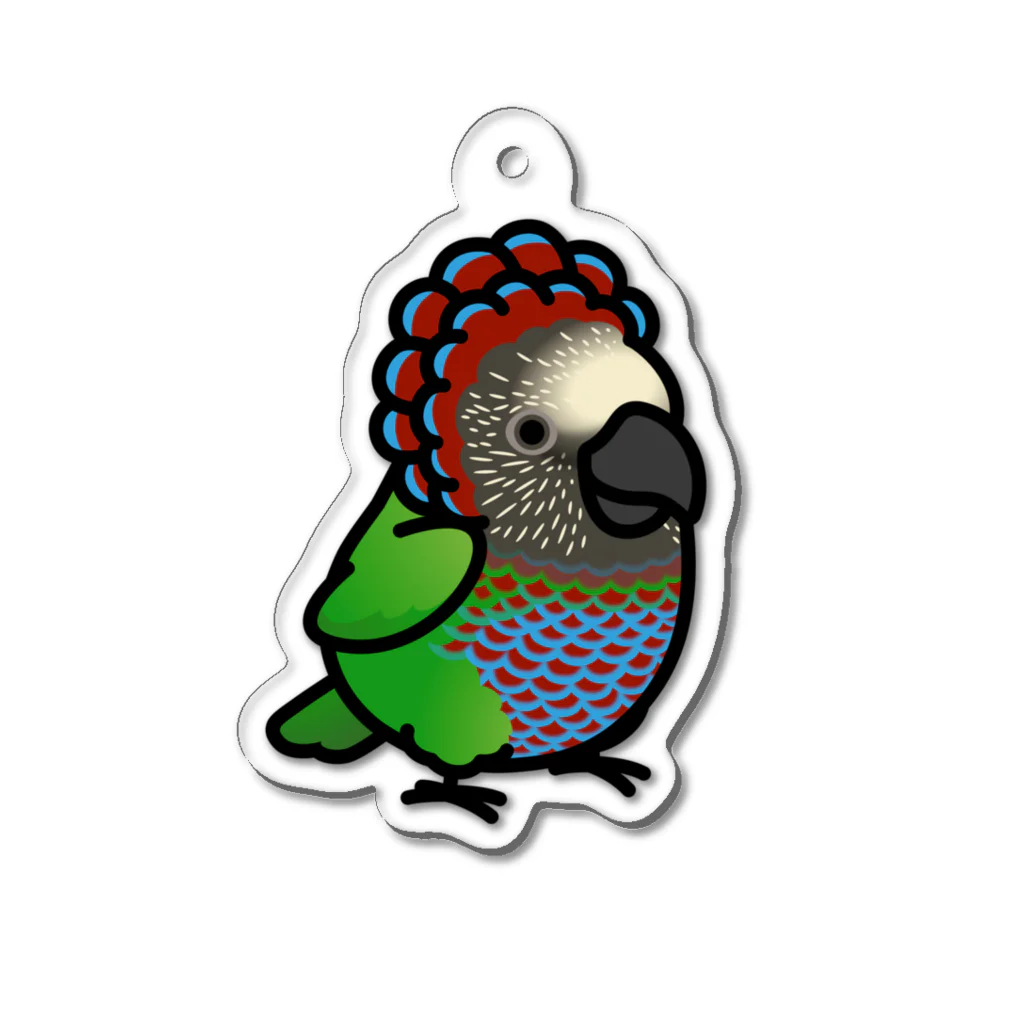 Cody the LovebirdのChubby Bird ヒオウギインコ Acrylic Key Chain