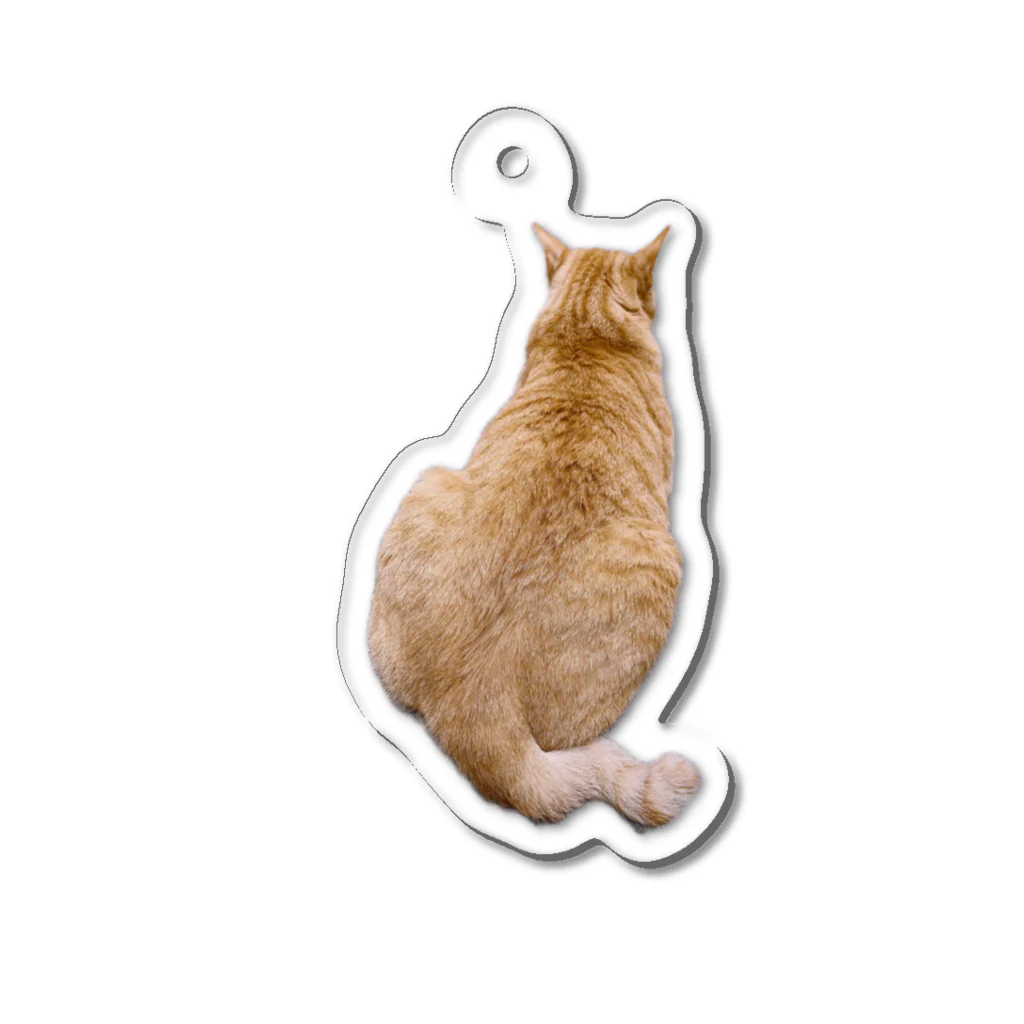 ♡はまだのにゃんこたち♡のぜっと君のもの言いたげな姿 Acrylic Key Chain