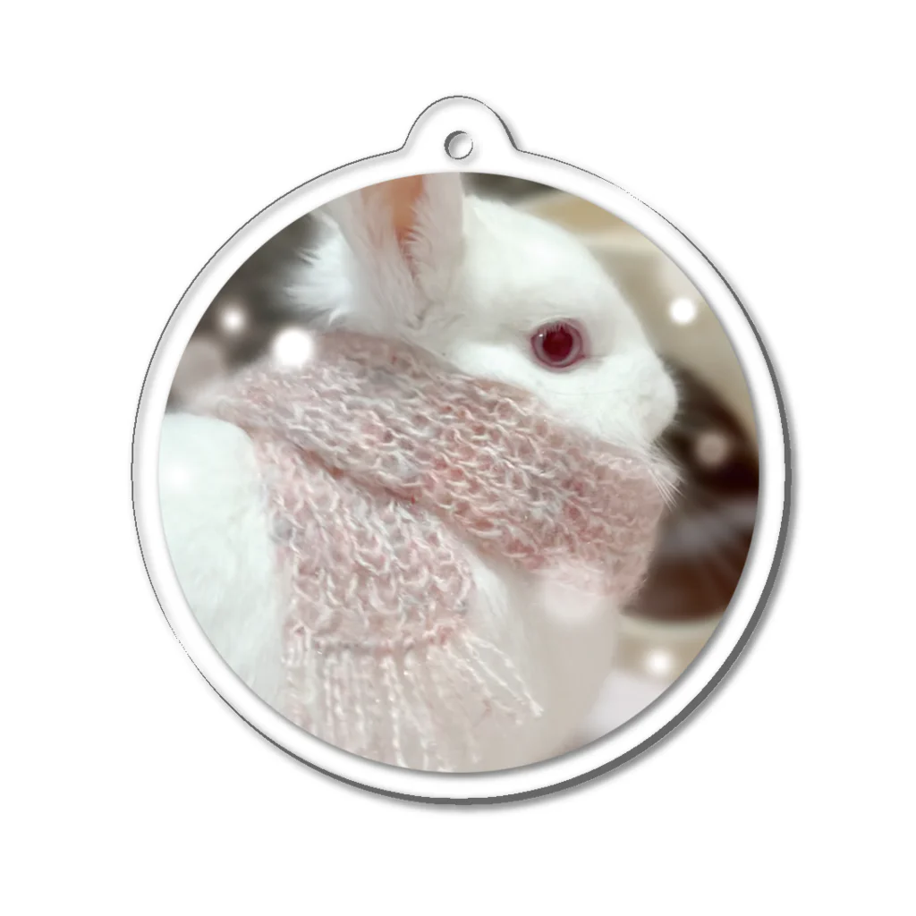 ふゆじかん/chamのゆきのひのふゆちゃん Acrylic Key Chain