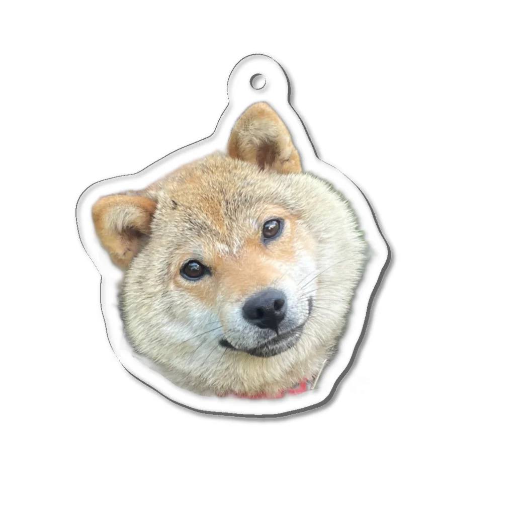 33/96の柴犬まる子(夏毛/首かしげ) Acrylic Key Chain