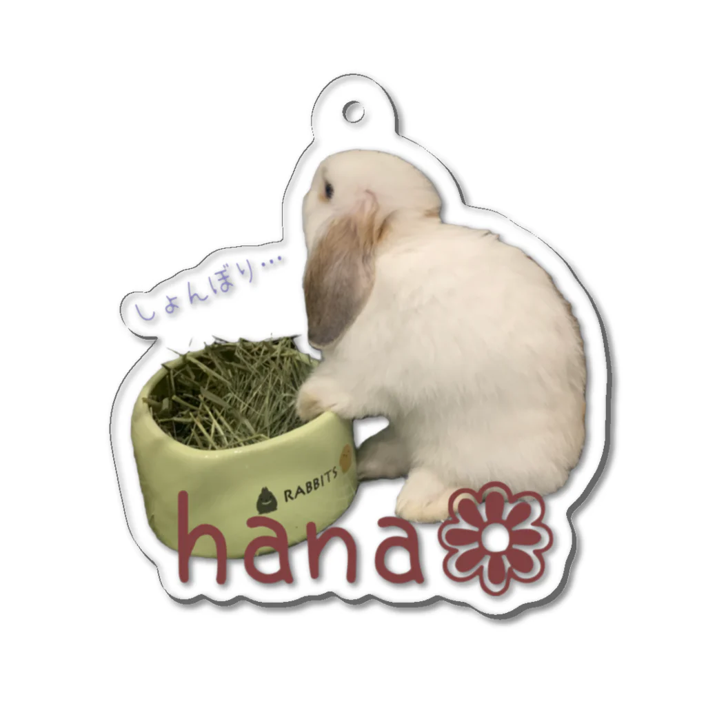 kimagure･A·Lamode❁のhana Acrylic Key Chain