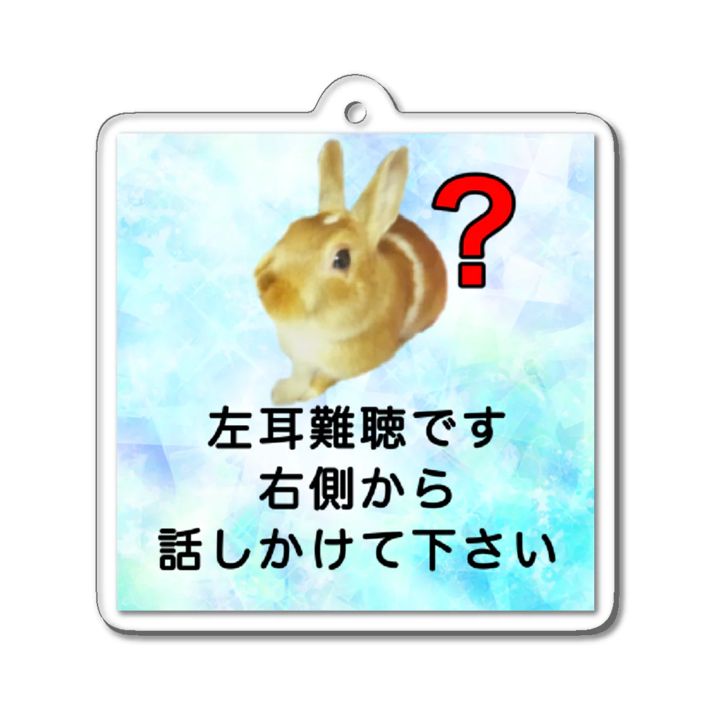 ドライのうさぎ　左耳難聴　片耳難聴　突発性難聴　難聴グッズ　片耳が聞こえない　聞こえにくい アクリルキーホルダー