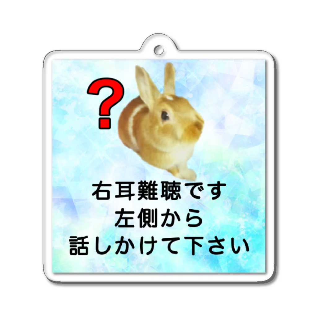 ドライのうさぎ　右耳難聴　片耳難聴　突発性難聴　難聴者　難聴児　難聴グッズ アクリルキーホルダー