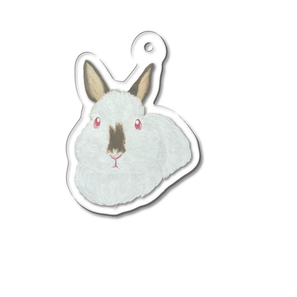 chocott_chicoのうさぎさん🐰ヒマラヤン Acrylic Key Chain