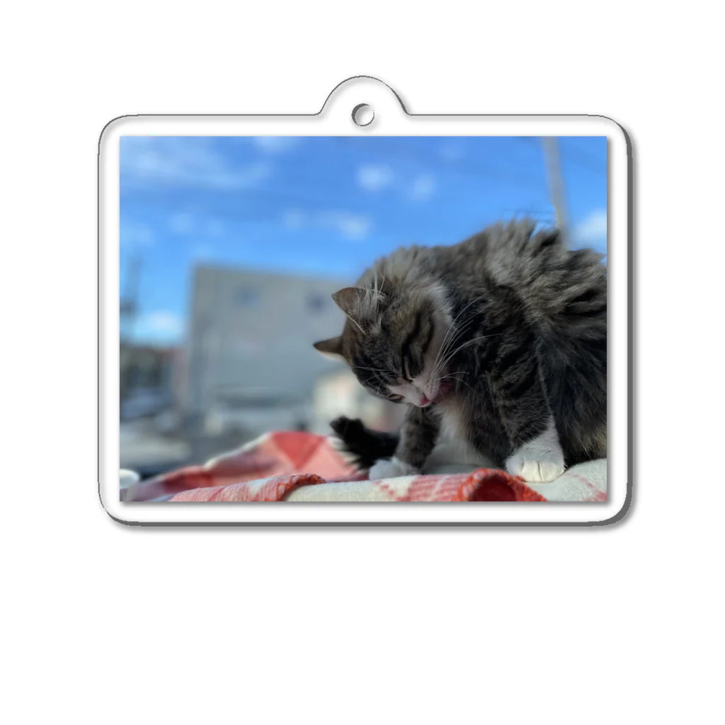 たびねこ蜜柑のたびねこ蜜柑 Acrylic Key Chain