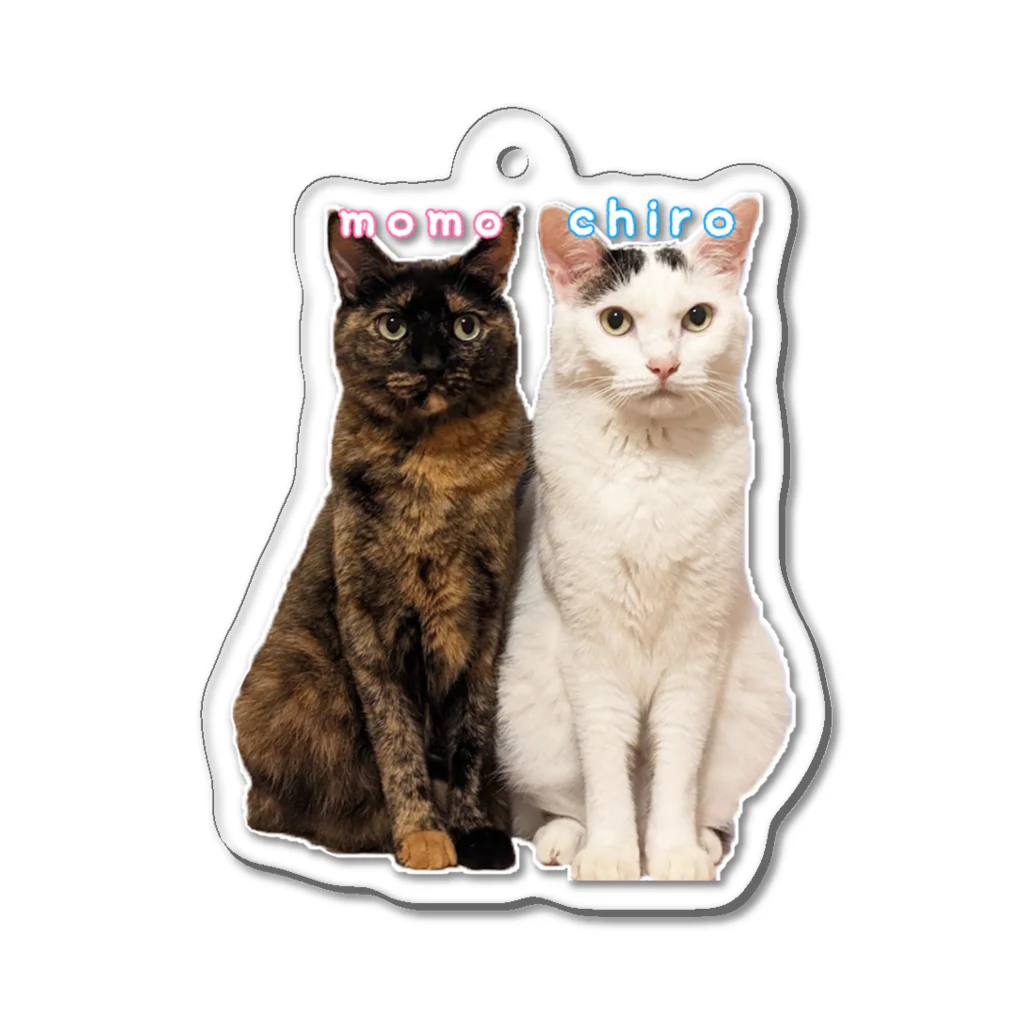 ねこほうチャンネル公式グッズのチロモモ兄妹キーホルダー Acrylic Key Chain