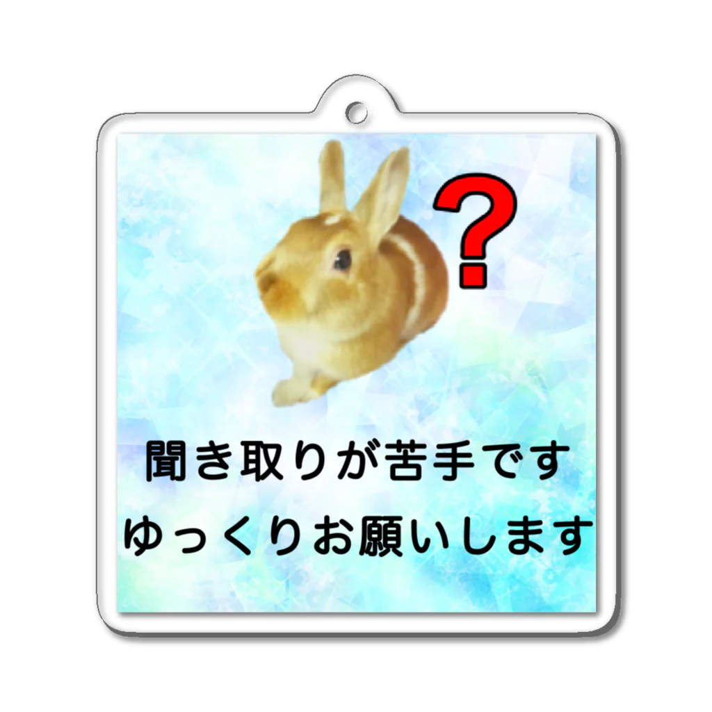 ドライのうさぎ　聞き取りが苦手　APD 聴覚情報処理障害　難聴 アクリルキーホルダー