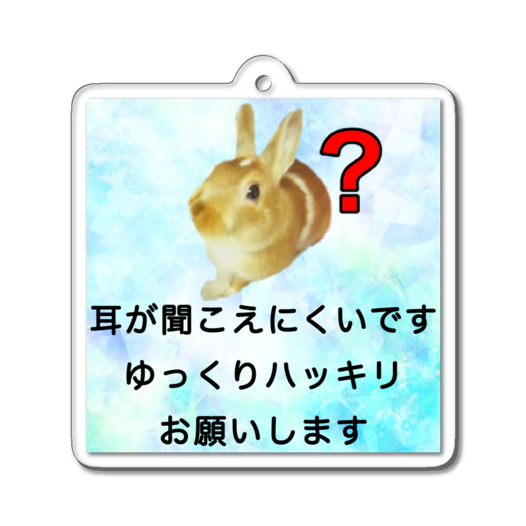 ドライのうさぎ　耳が聞こえにくい　片耳難聴　両耳難聴　聞こえづらい アクリルキーホルダー