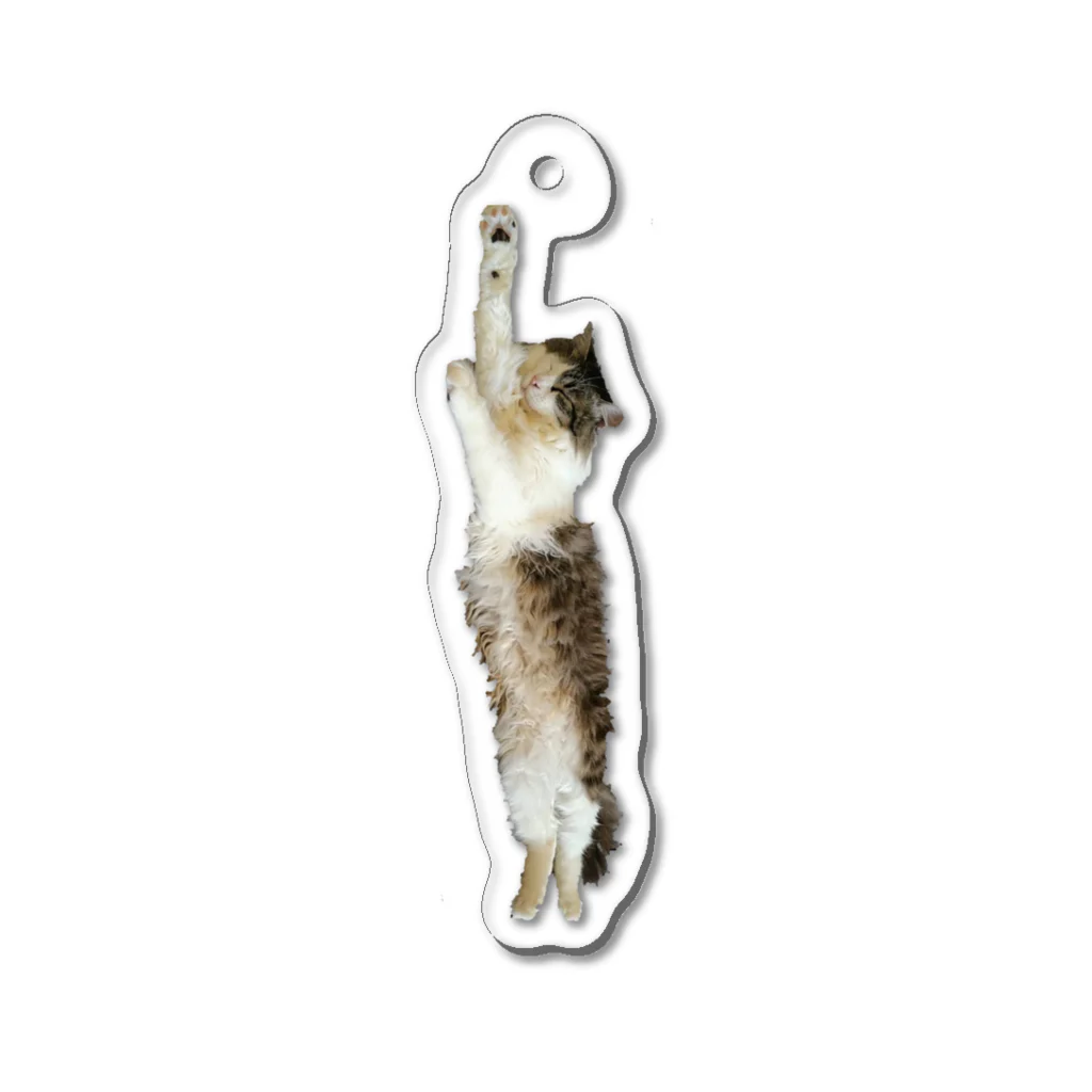 おもちくんののびのびおもちくん🐾タテバージョン Acrylic Key Chain