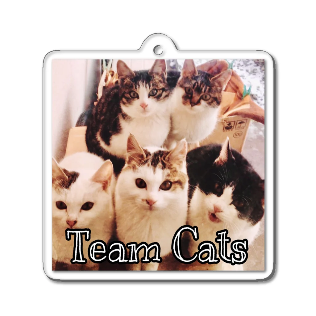 GreenLifezのTeam Cat アクリルキーホルダー