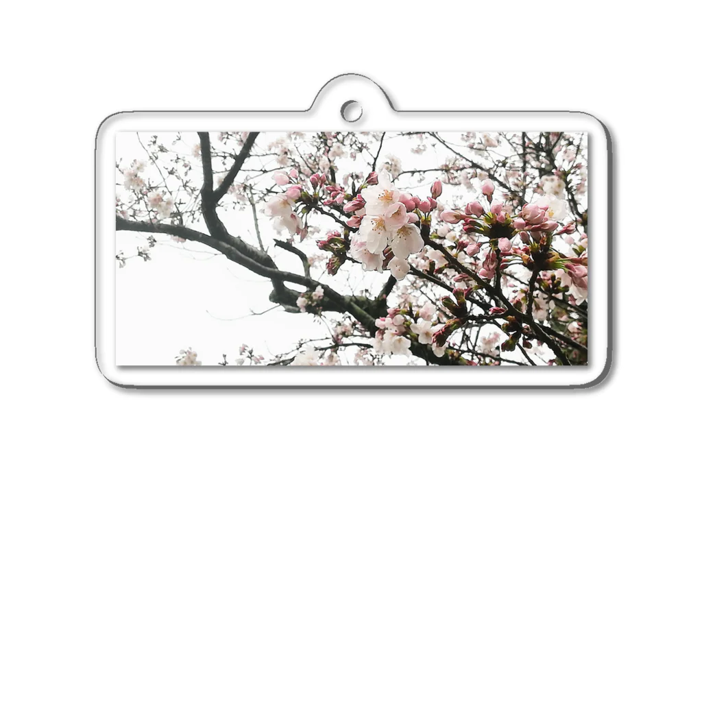 サボニャンSHOPの桜のアクリルキーホルダー Acrylic Key Chain