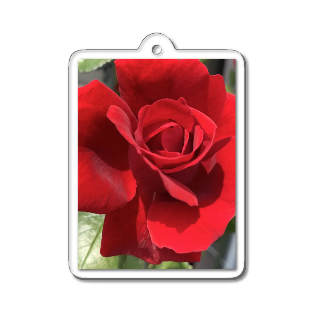 m(･∀･)の赤い薔薇 Acrylic Key Chain