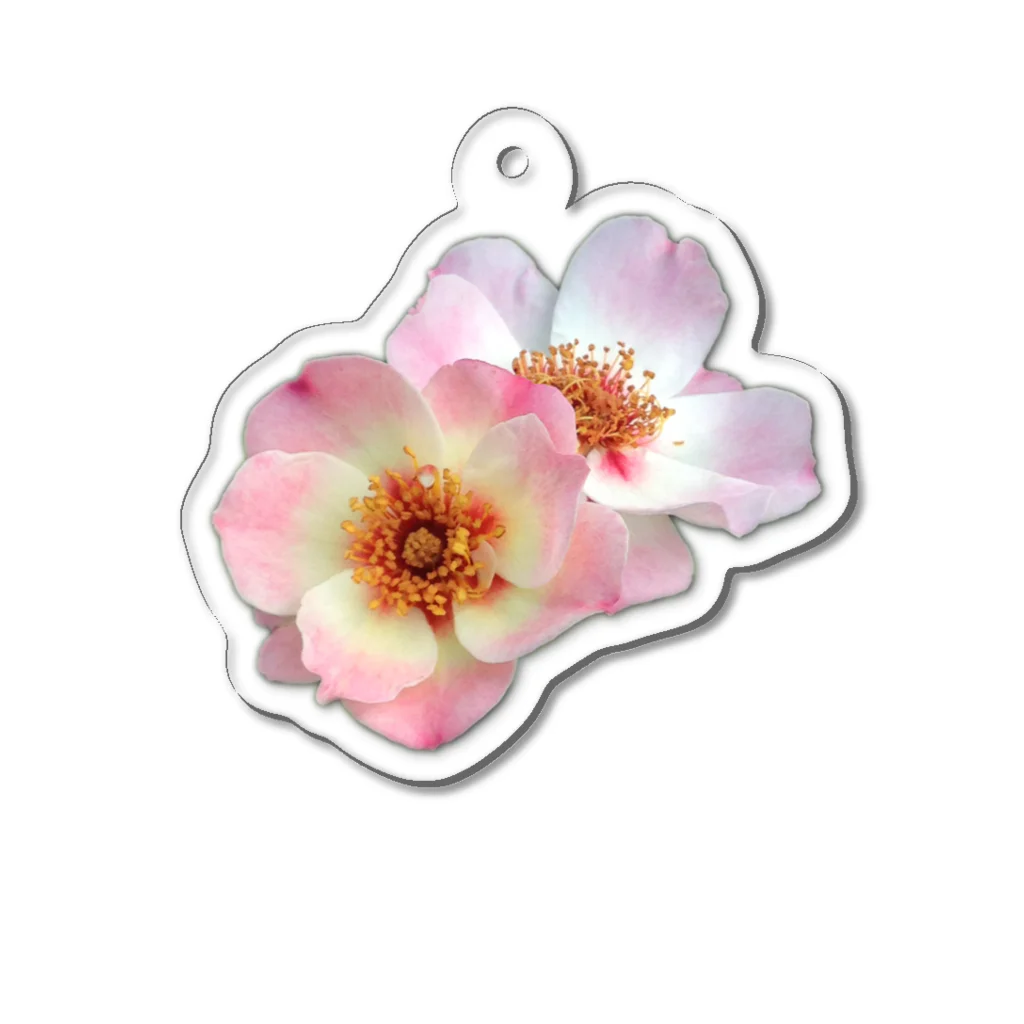 titikの花の写真を撮るのが好き Acrylic Key Chain