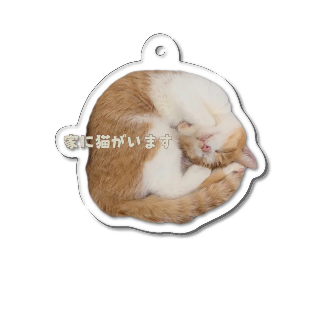 puca pucaの猫がいます Acrylic Key Chain