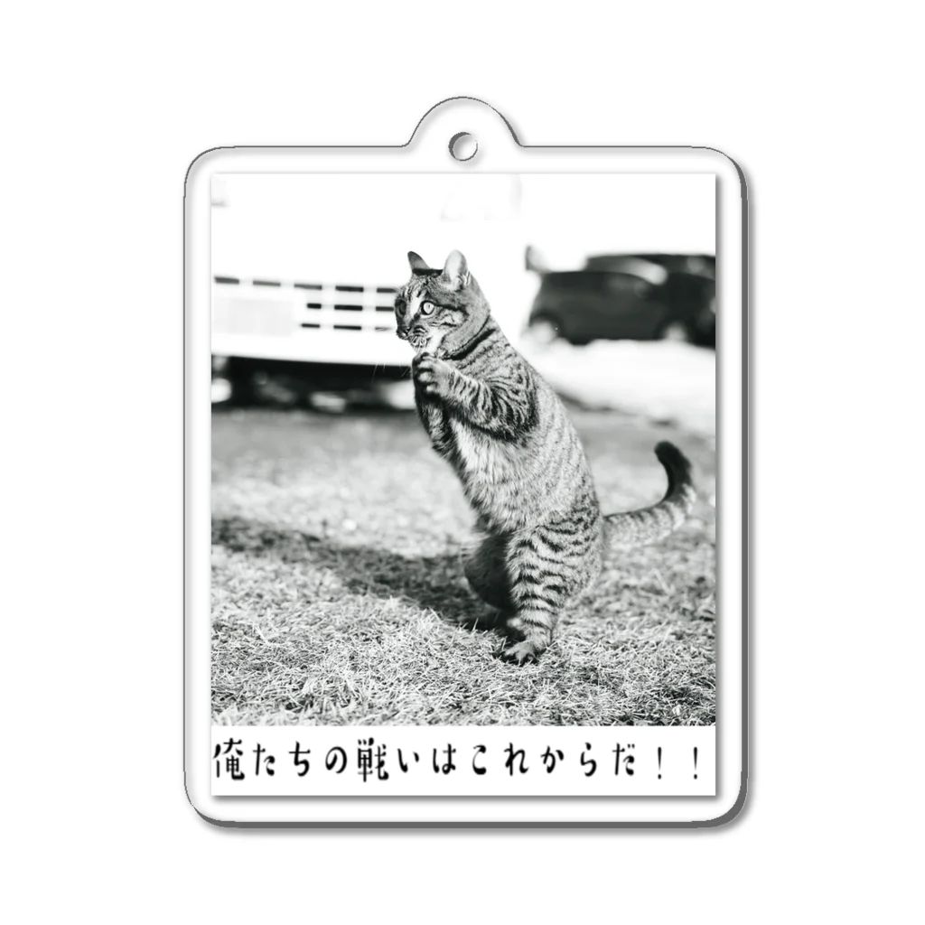 牧場猫の最終回猫 Acrylic Key Chain