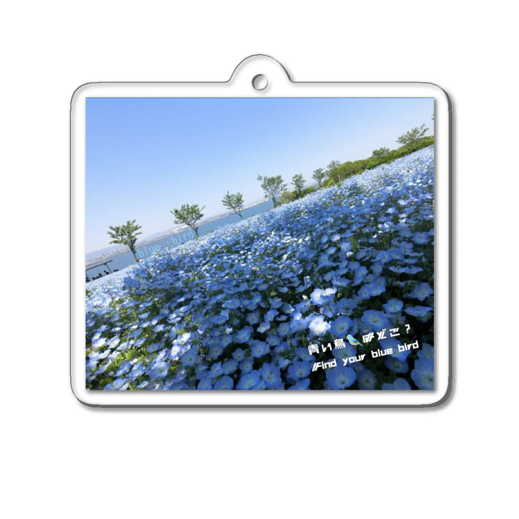 』Always Keep Sunshine in your heart🌻の青い鳥🐦はいつも側に💮 Acrylic Key Chain