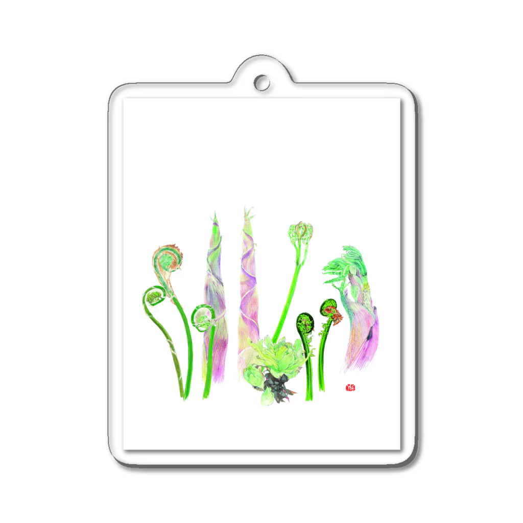 外山康雄　野の花館の山菜集合！ Acrylic Key Chain