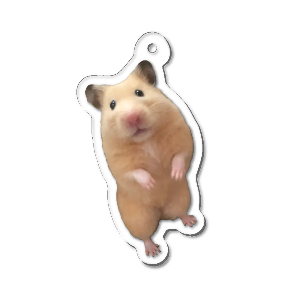 キンクマハムスターふろちゃんショップのキンクマハムスターふろちゃん Acrylic Key Chain