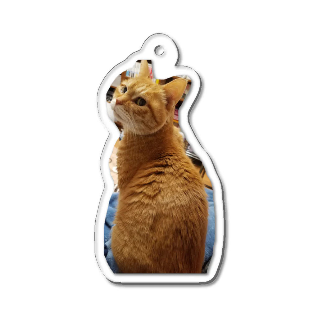 ねこネコ家族のこまめ(A) Acrylic Key Chain