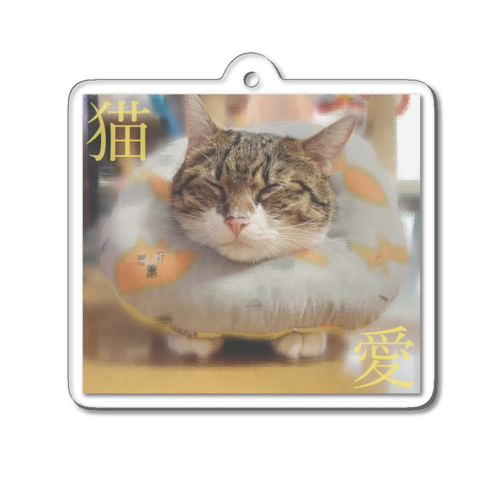 ノアチャンのおみせ（仮）の猫愛 Acrylic Key Chain