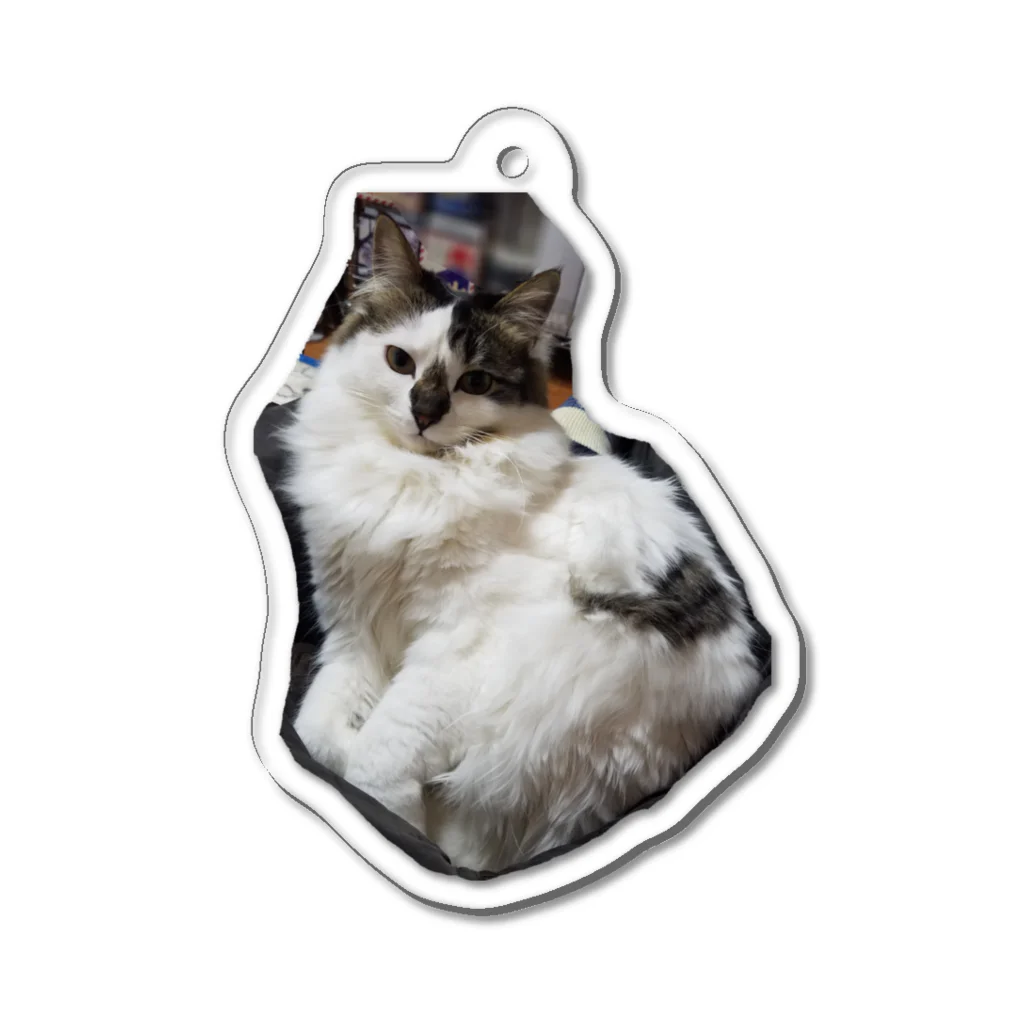 ねこネコ家族のてん(B) Acrylic Key Chain