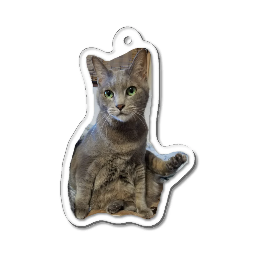 ねこネコ家族のルー(B) Acrylic Key Chain