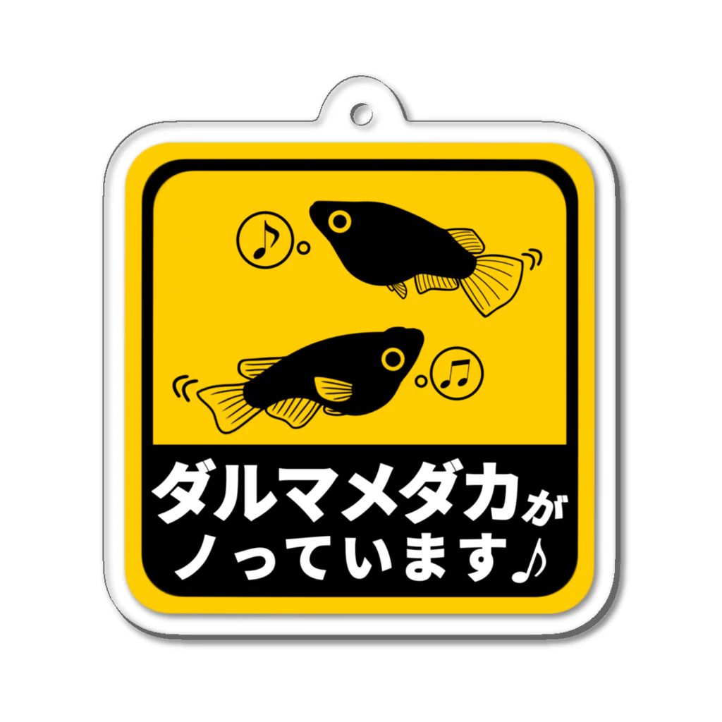 みるるのお魚屋さんのダルマがノッてるキーホルダー アクリルキーホルダー