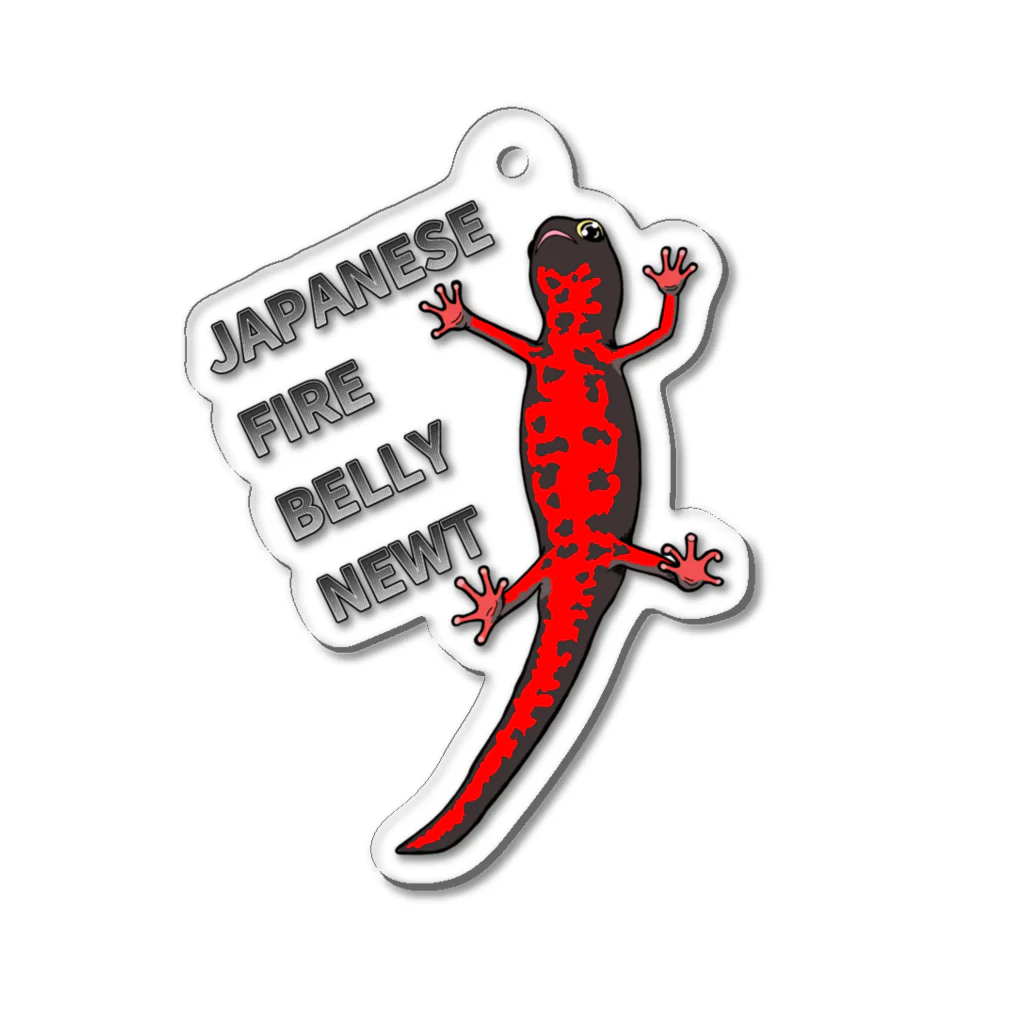 LalaHangeulのJAPANESE FIRE BELLY NEWT (アカハライモリ)　 Acrylic Key Chain