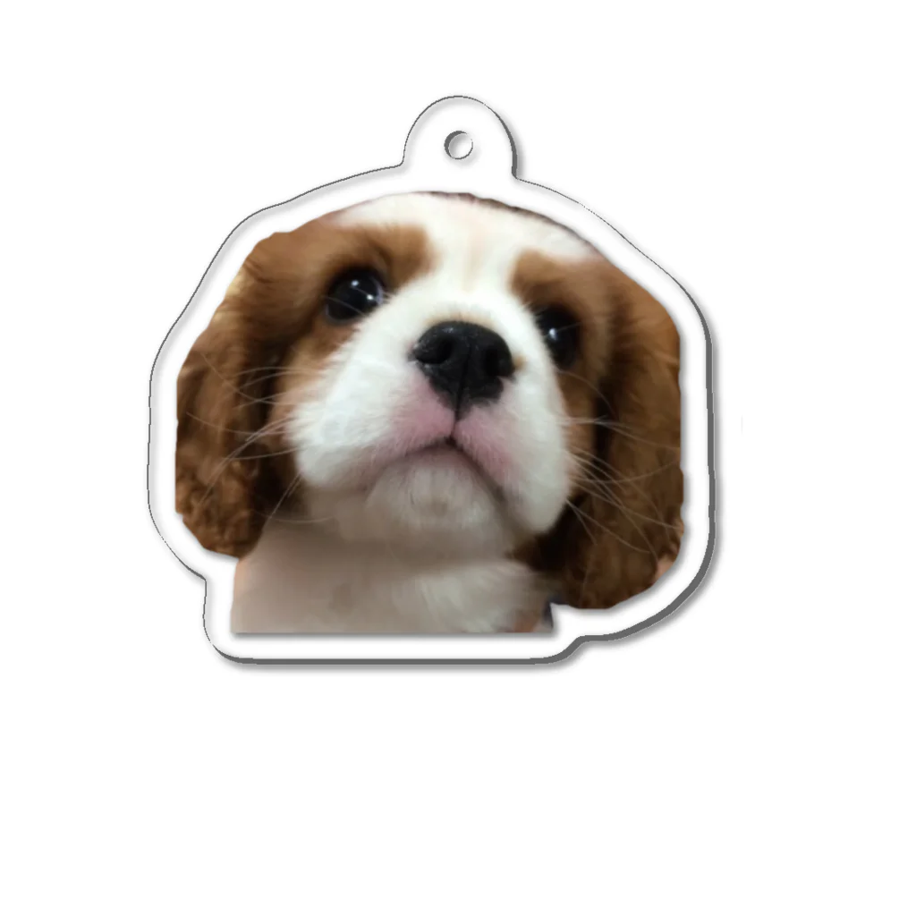 kantasanのDog Acrylic Key Chain