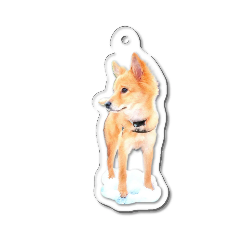 となりのももたんのももたんアイコン Acrylic Key Chain